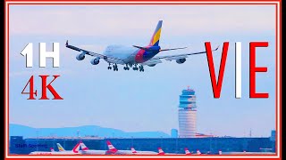 1 Hour Vienna Airport Schwechat VIE Plane Spotting  4K [upl. by Toomay]