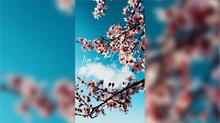 DEAN FUJIOKA  “Sakura” Lyric Video [upl. by Introc]