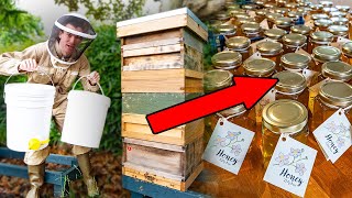 Harvesting 68kg of honey  full process from beehive to jars  candle making [upl. by Now]