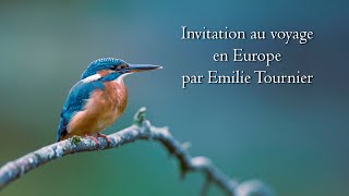 Invitation au voyage en Europe [upl. by Aleekahs]